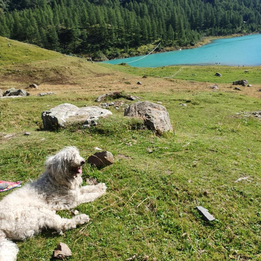 Agriturismo B&B Chevres A Cheval Aosta Bagian luar foto